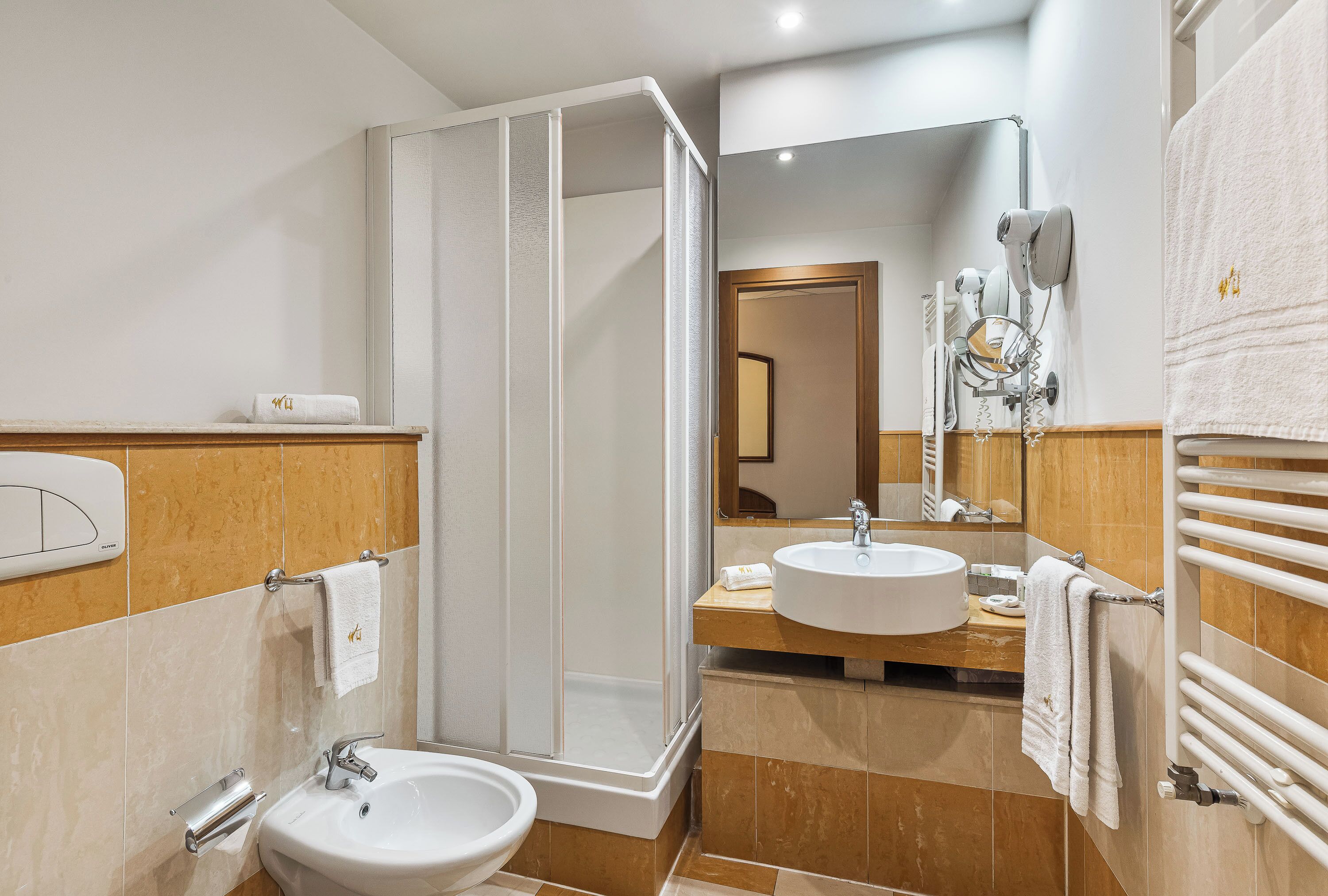 hair dryer, bidet, towels