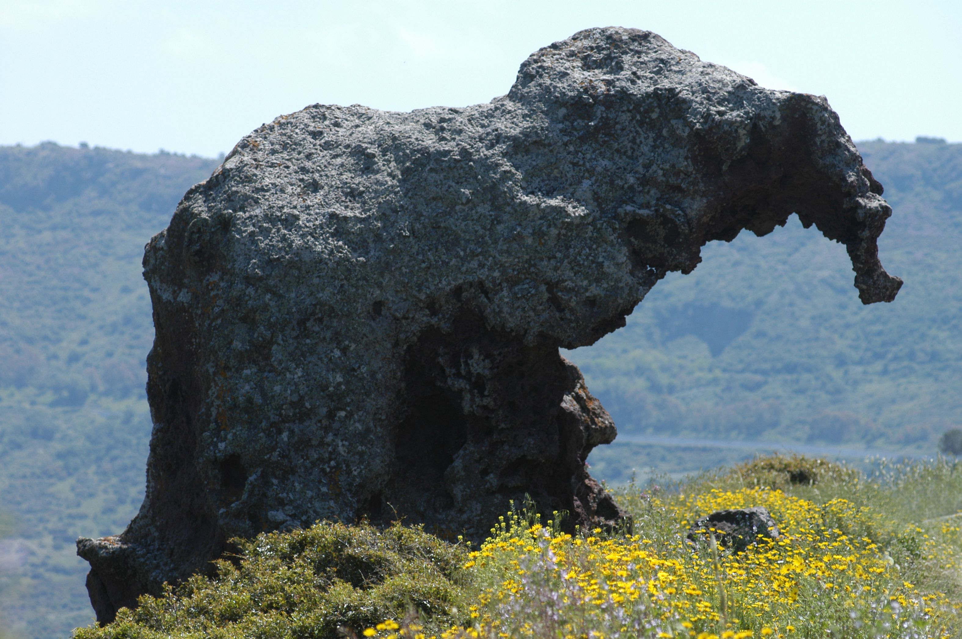 A large rock formation with a unique shape, surrounded by a field of yellow flowers.
