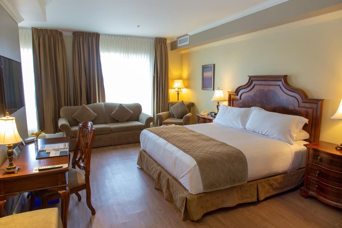 Suite, 1 King Bed with Sofa bed, Non Smoking (Efficiency) | Hypo-allergenic bedding, down comforters, desk, laptop workspace