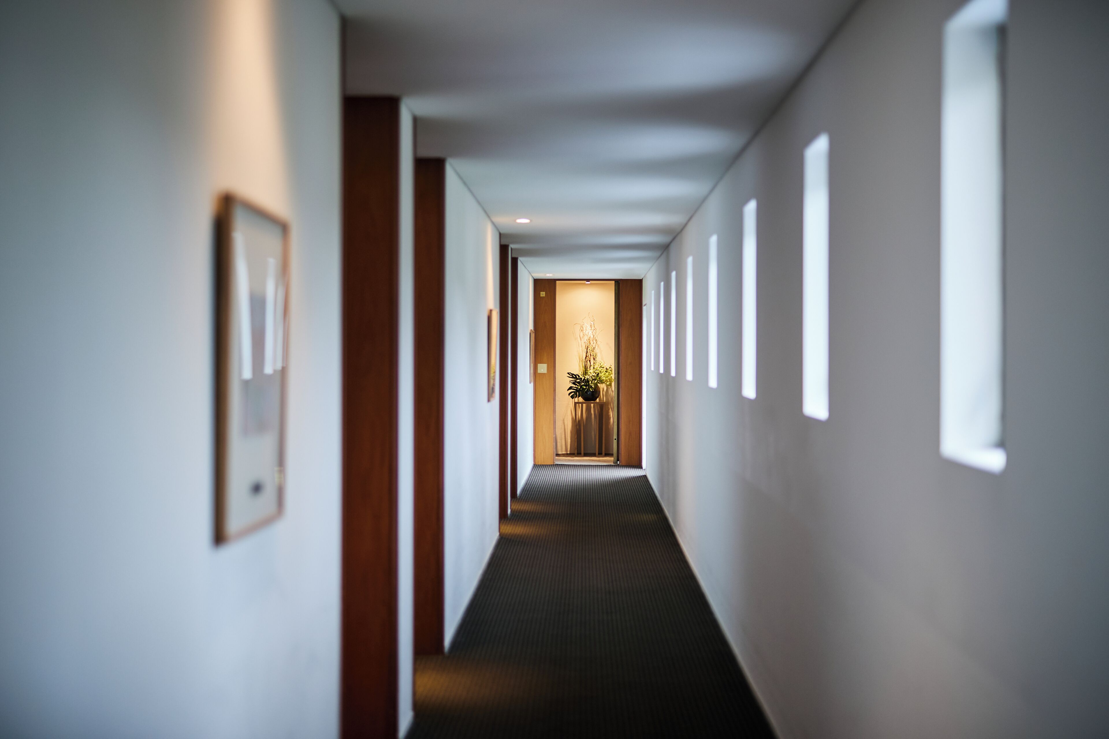 Foto - Hakone Hotel