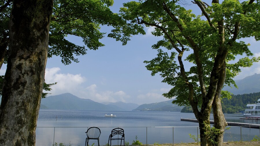 Hakone Hotel