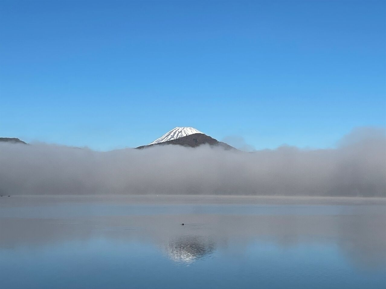 住宿景觀