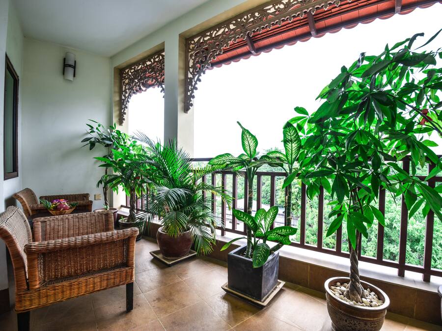Varanda com mobiliário de vime, plantas em vasos e vista para o verde.
