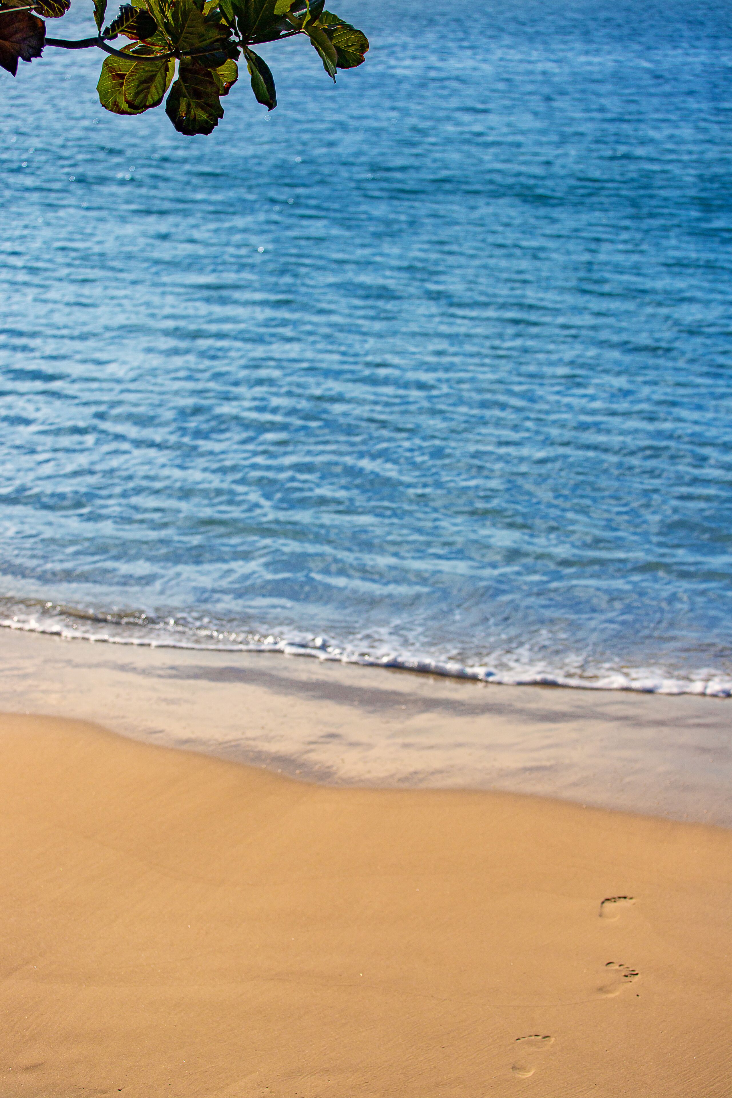 A beach with clear blue water and a sandy shore.