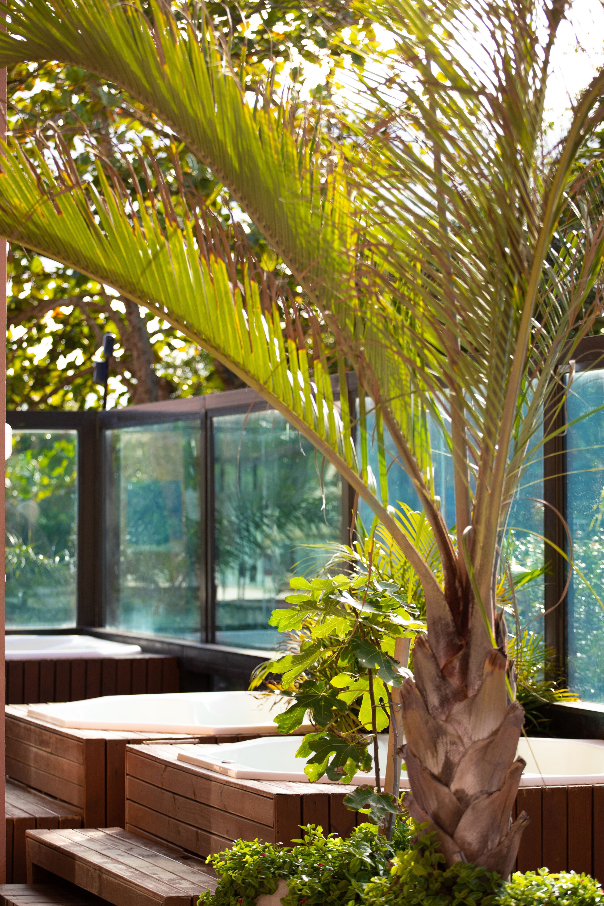 Piscina externa, guarda-sóis, espreguiçadeiras