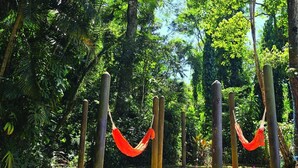 A hammock suspended between wooden poles in a lush, green forest setting.