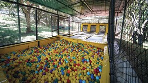 Actividades para menores