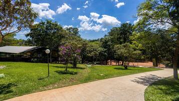 Jardim