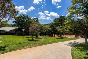 Jardim
