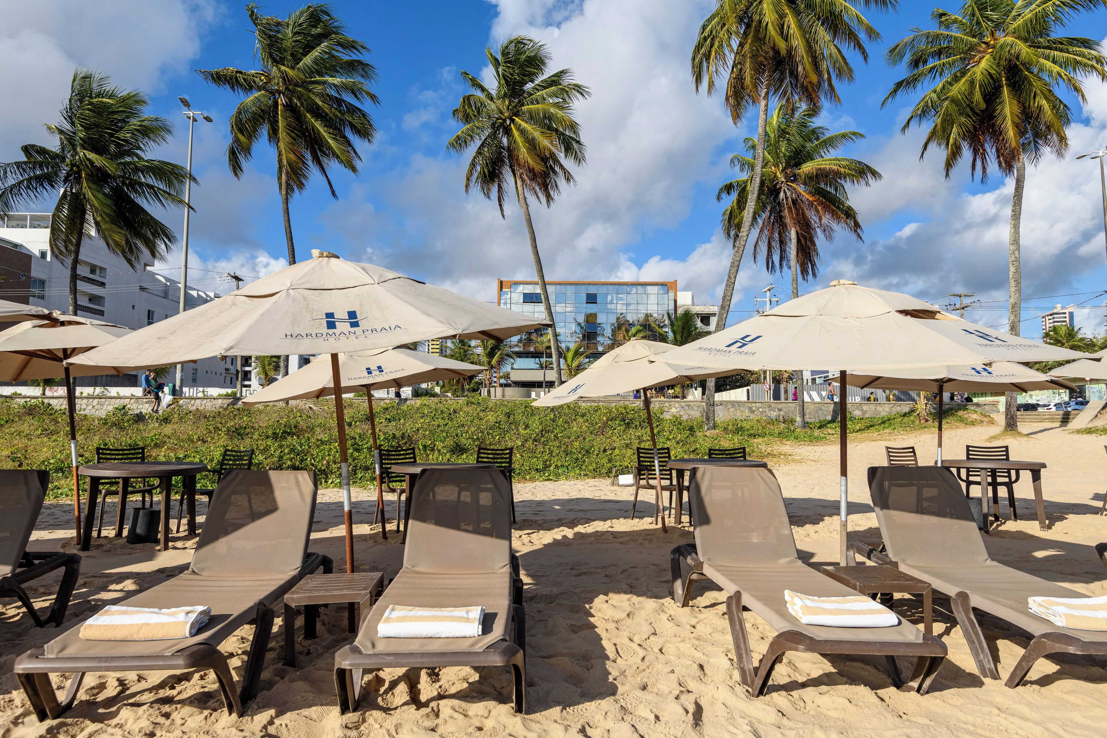 해변에 위치, 백사장, 일광욕 의자, 비치 파라솔