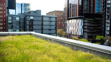 A rooftop garden with a view of modern buildings in the background.