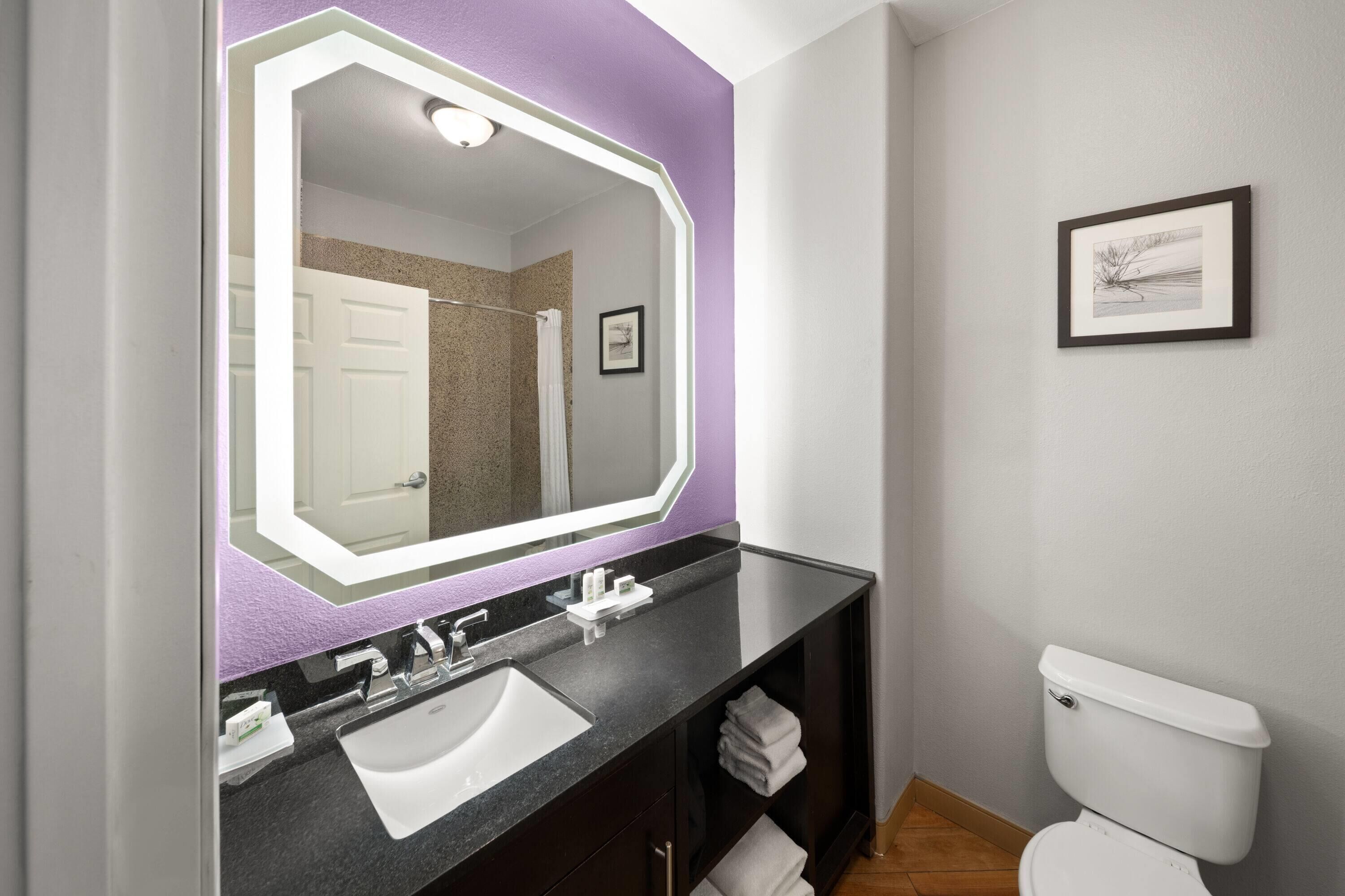 A bathroom with a large mirror, a sink, a toilet, and a framed picture on the wall.