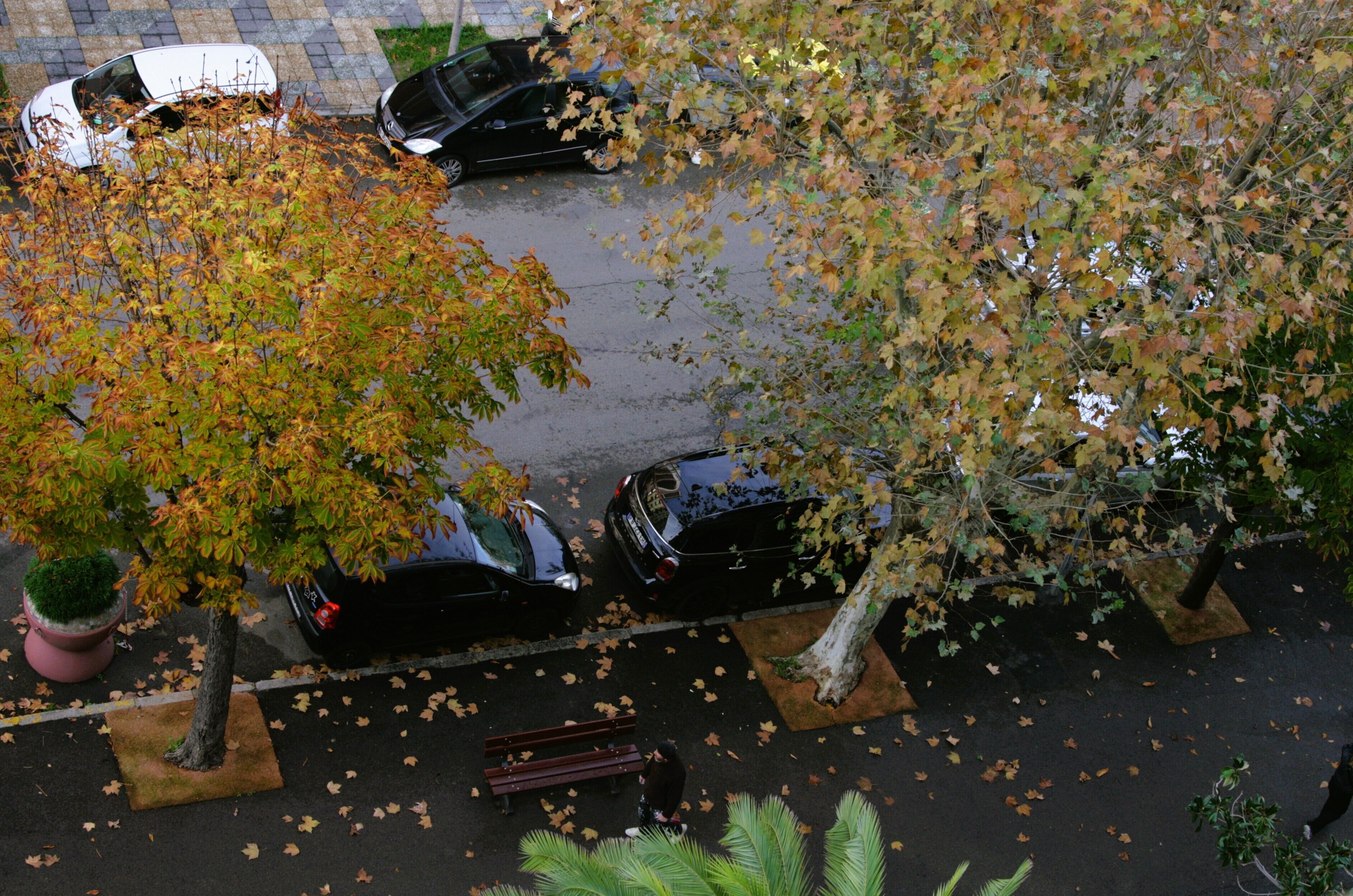 Foto - Hôtel Albion