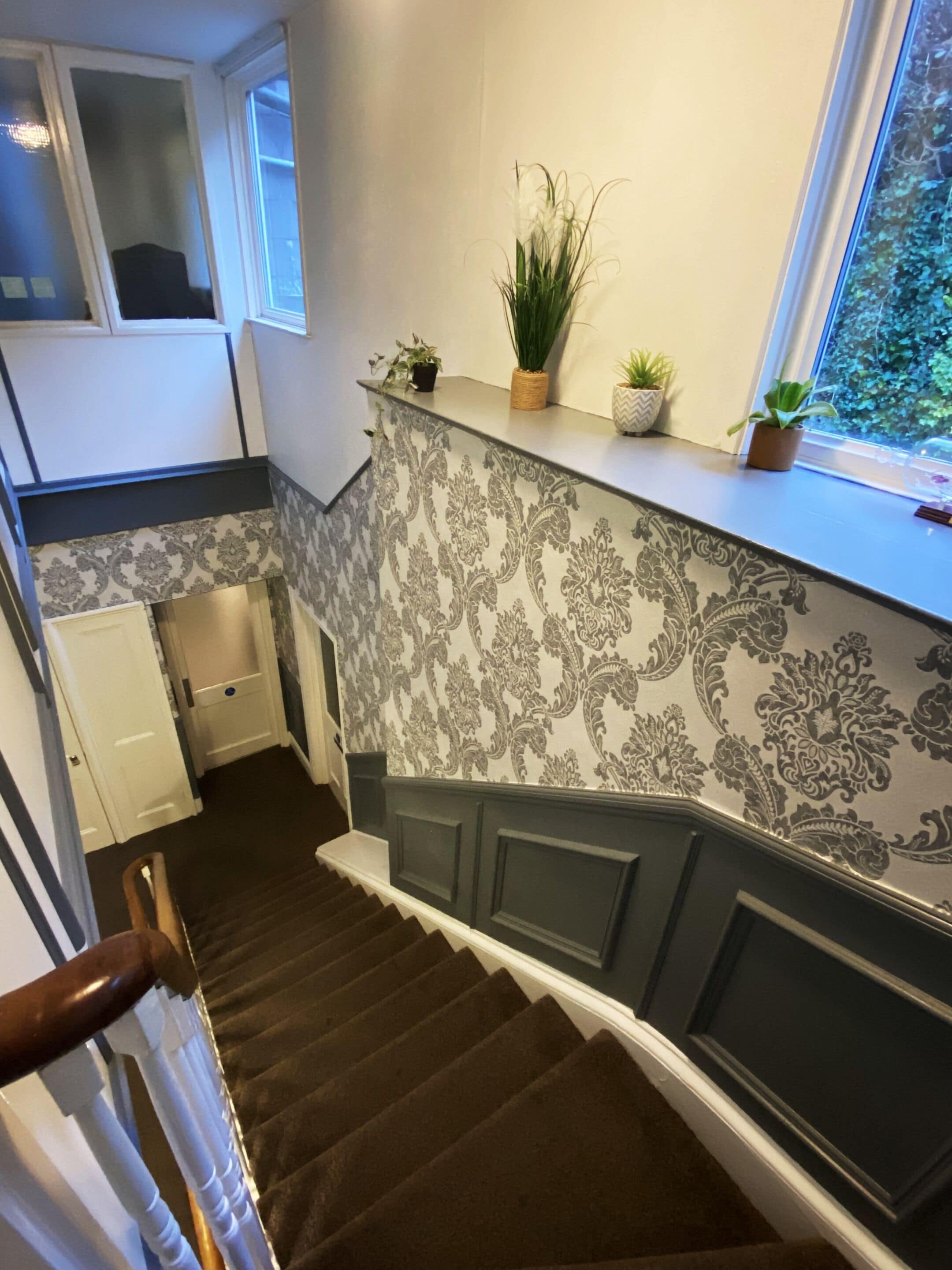 Un escalier recouvert d’une moquette marron foncé, une porte blanche et une fenêtre avec des plantes sur le rebord.