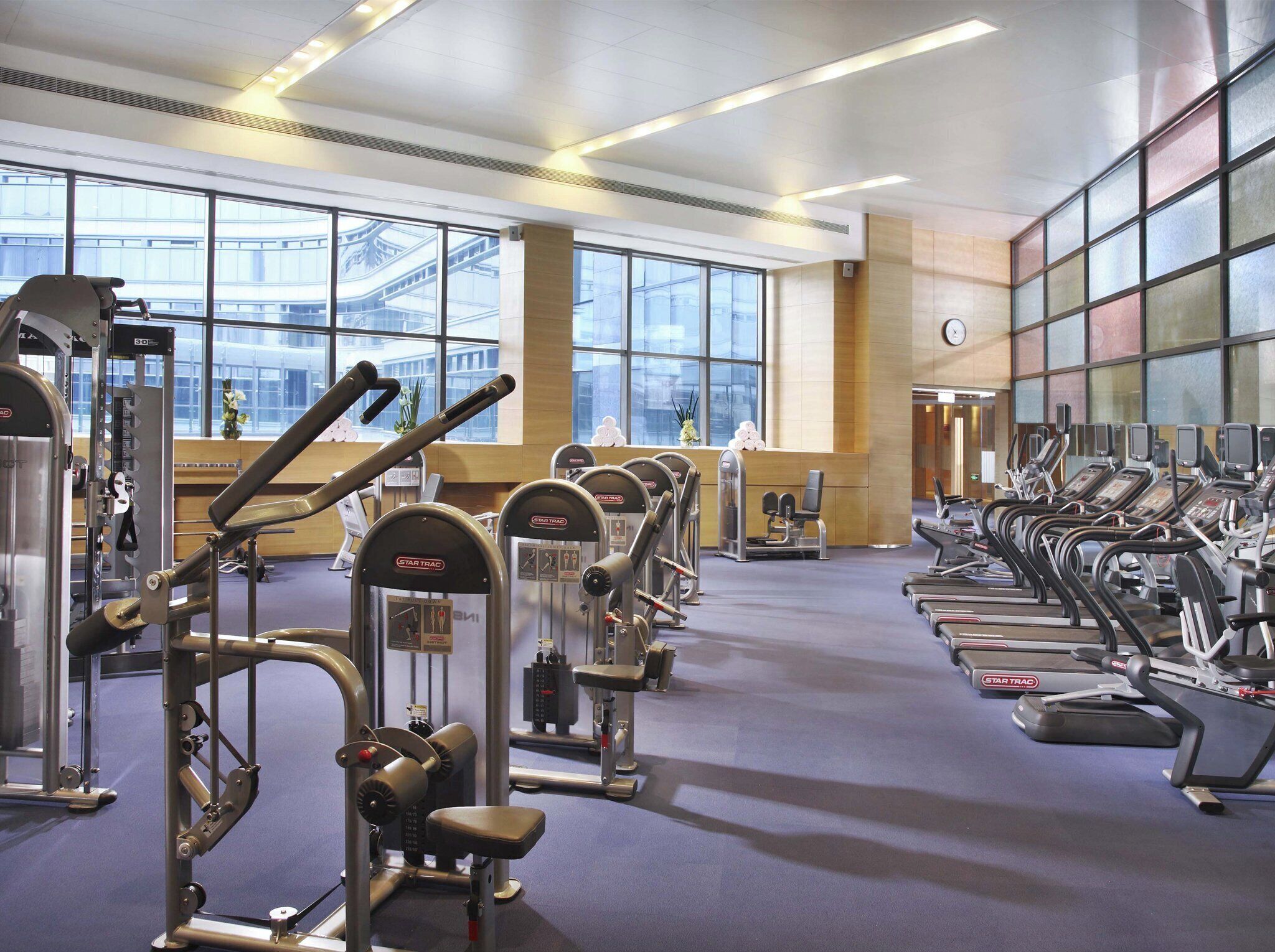 A gym with various exercise equipment, large windows, and a carpeted floor.