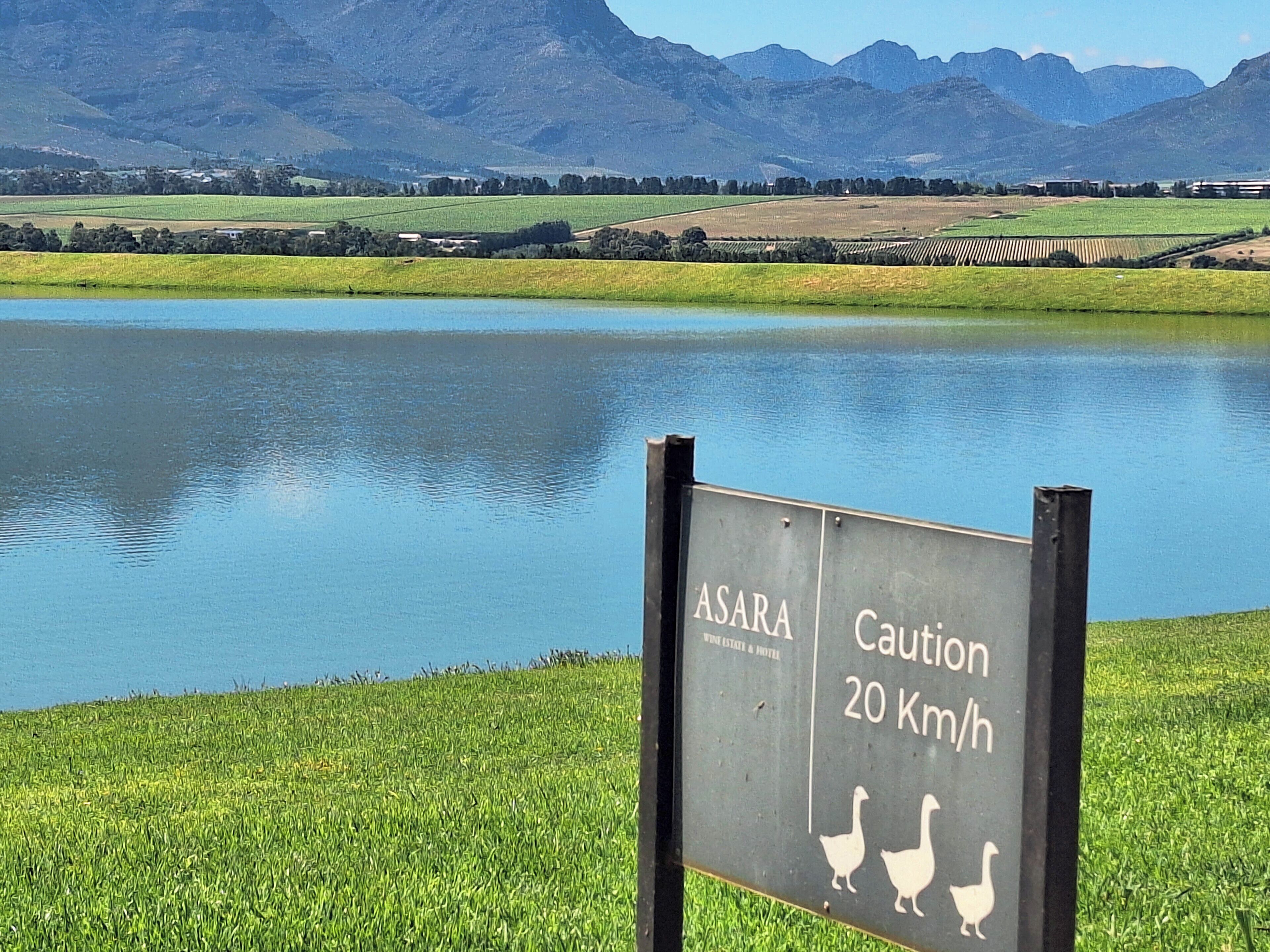 land view from property