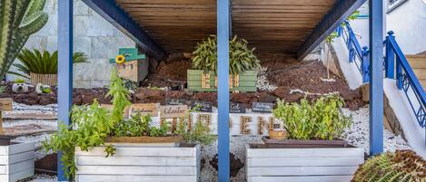 A covered garden area with wooden planters containing various plants and cacti.