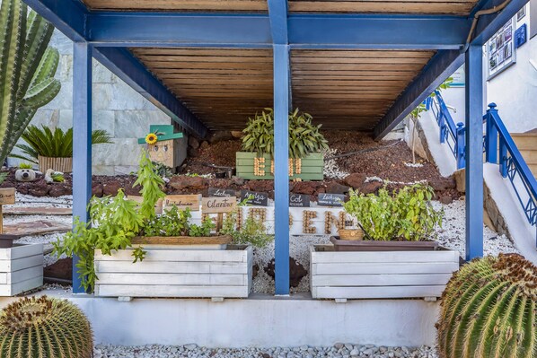 A covered garden area with wooden planters containing various plants and cacti. - Club Cala Blanca (Mogan)