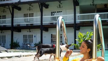 A pool area with a person and a dog, a white building with balconies, and outdoor furniture.