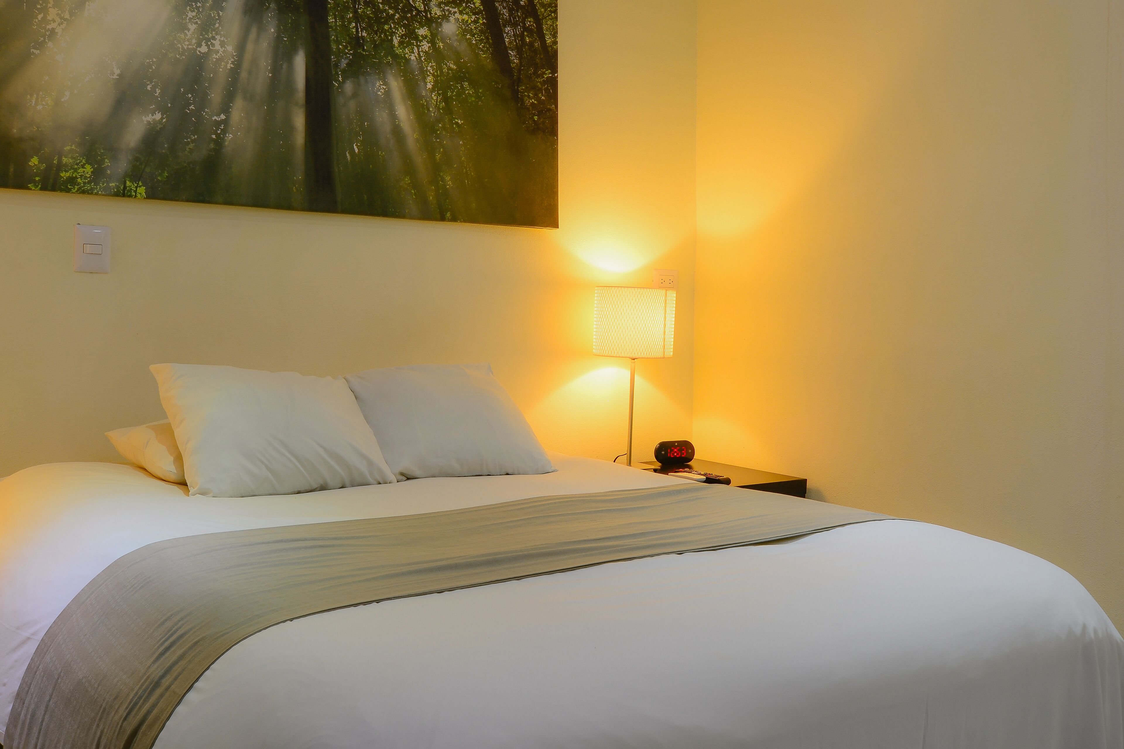 standard room, 1 double bed, mountain view (3rd floor no elevator) | egyptian cotton sheets, premium bedding, down duvets, pillow-top beds