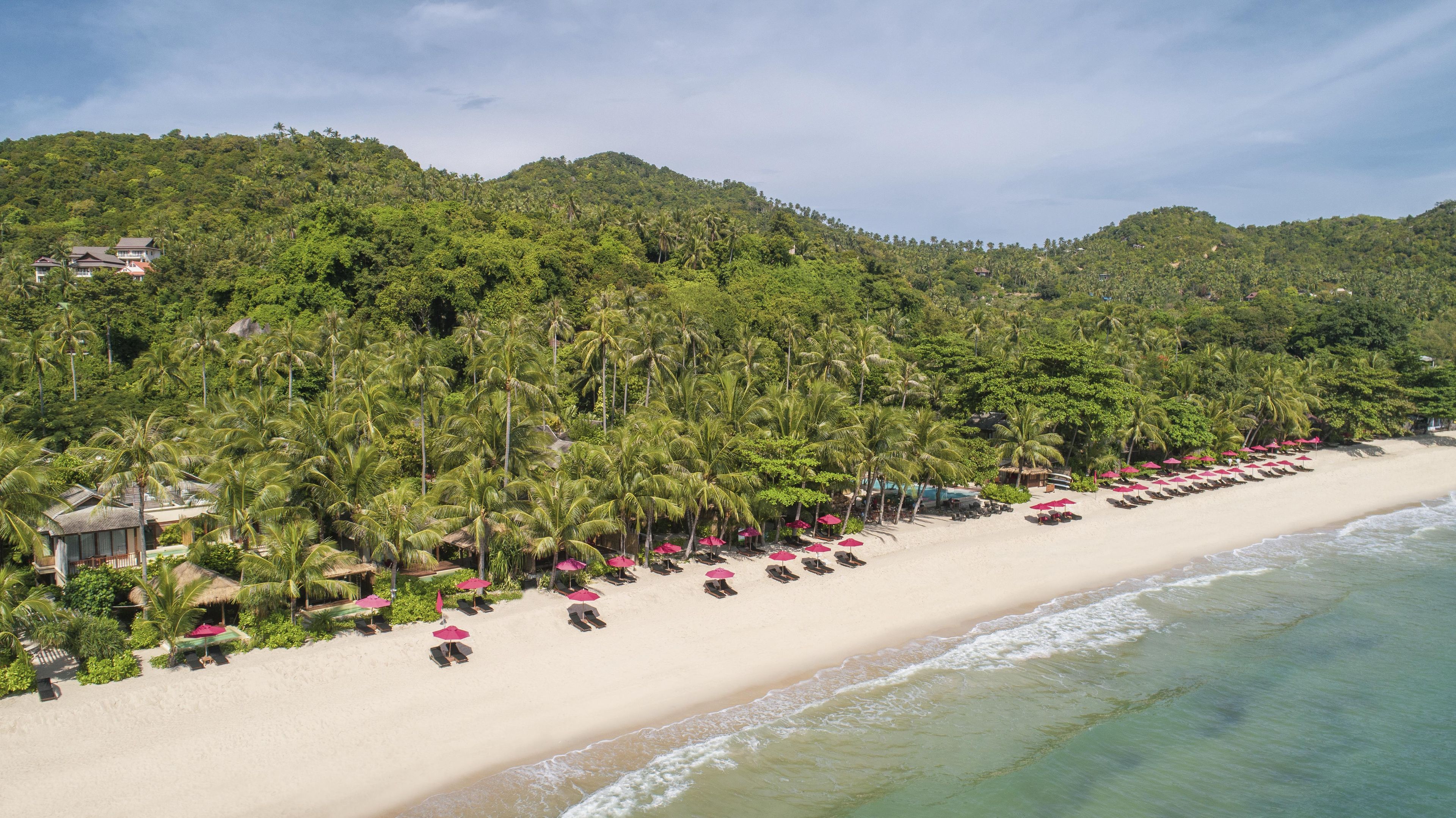 A beach with rows of sun loungers and umbrellas, a clear view of the ocean, and a forested hillside in the background.