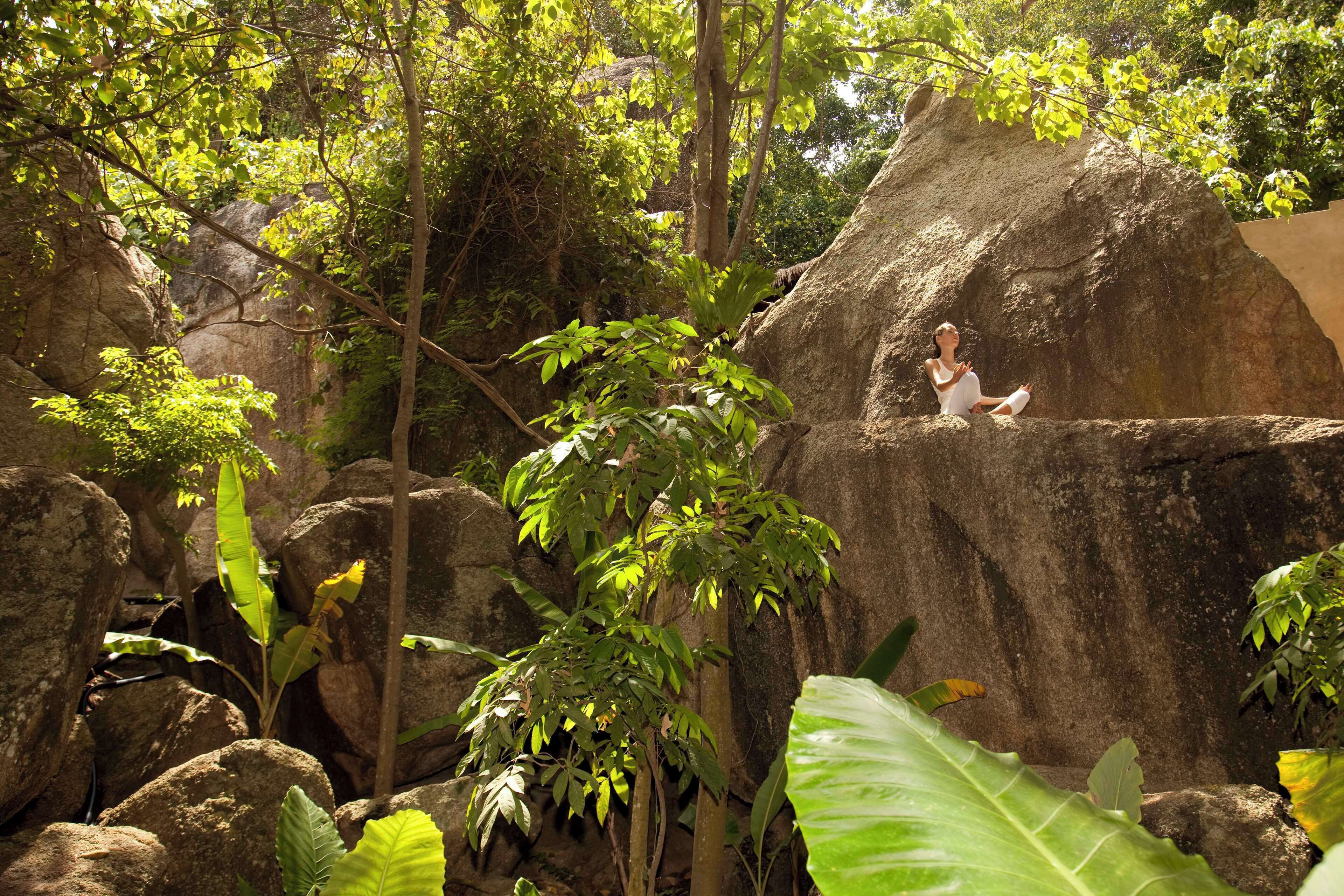 couples treatment room(s), body treatments, aromatherapy