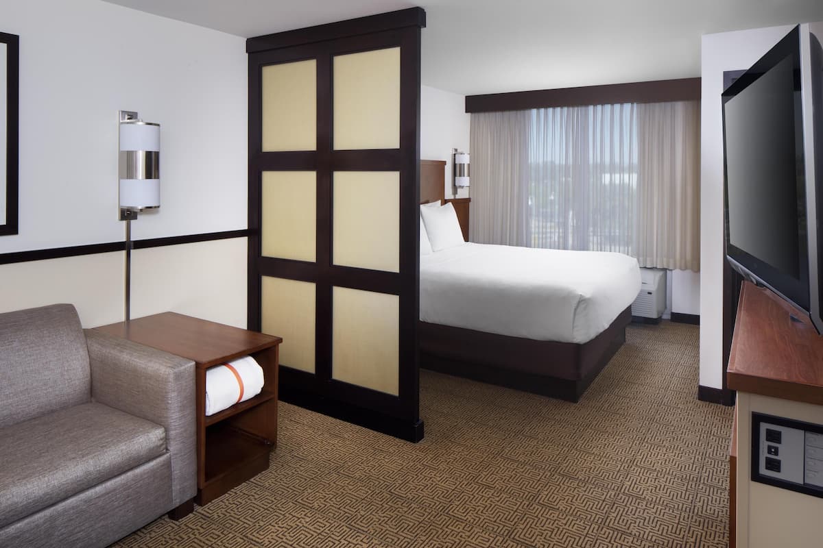 A hotel room with a bed, a sofa, a TV, and a partition wall.