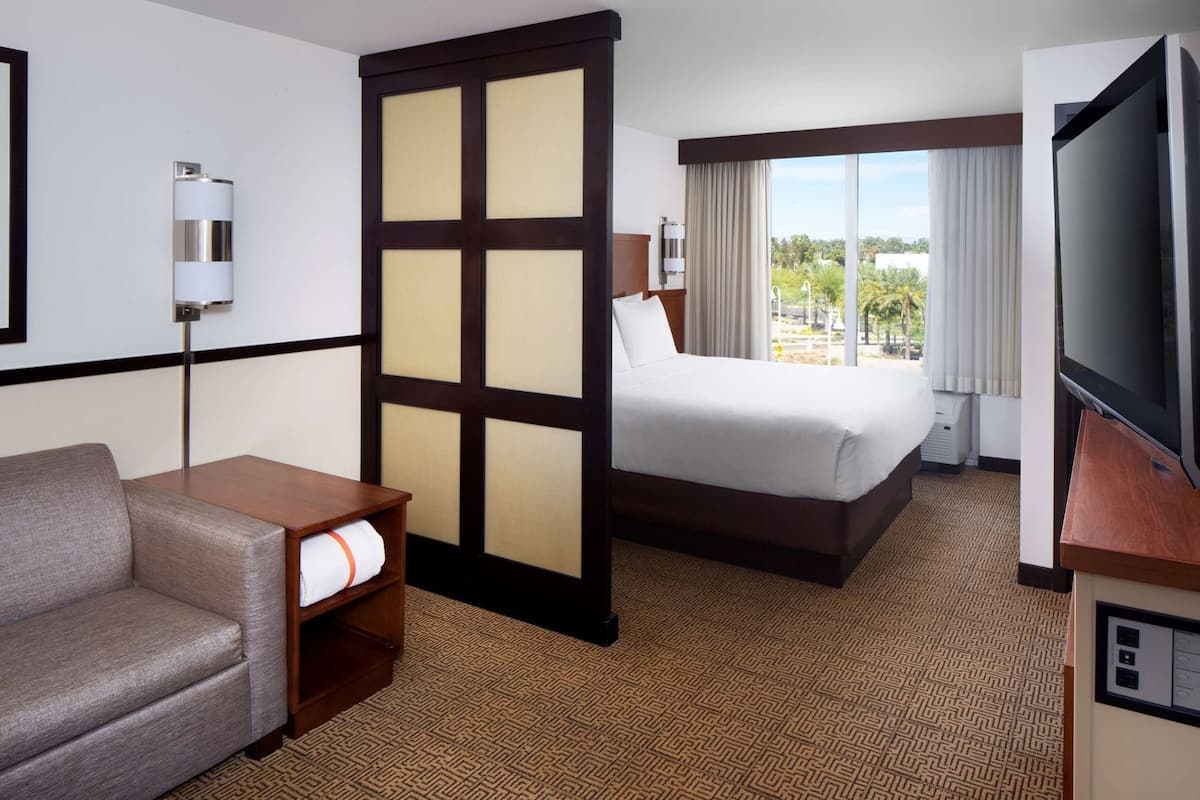 A hotel room with a bed, a sofa, a TV, a large window with curtains, and a view of greenery.