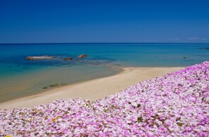Perto da praia 