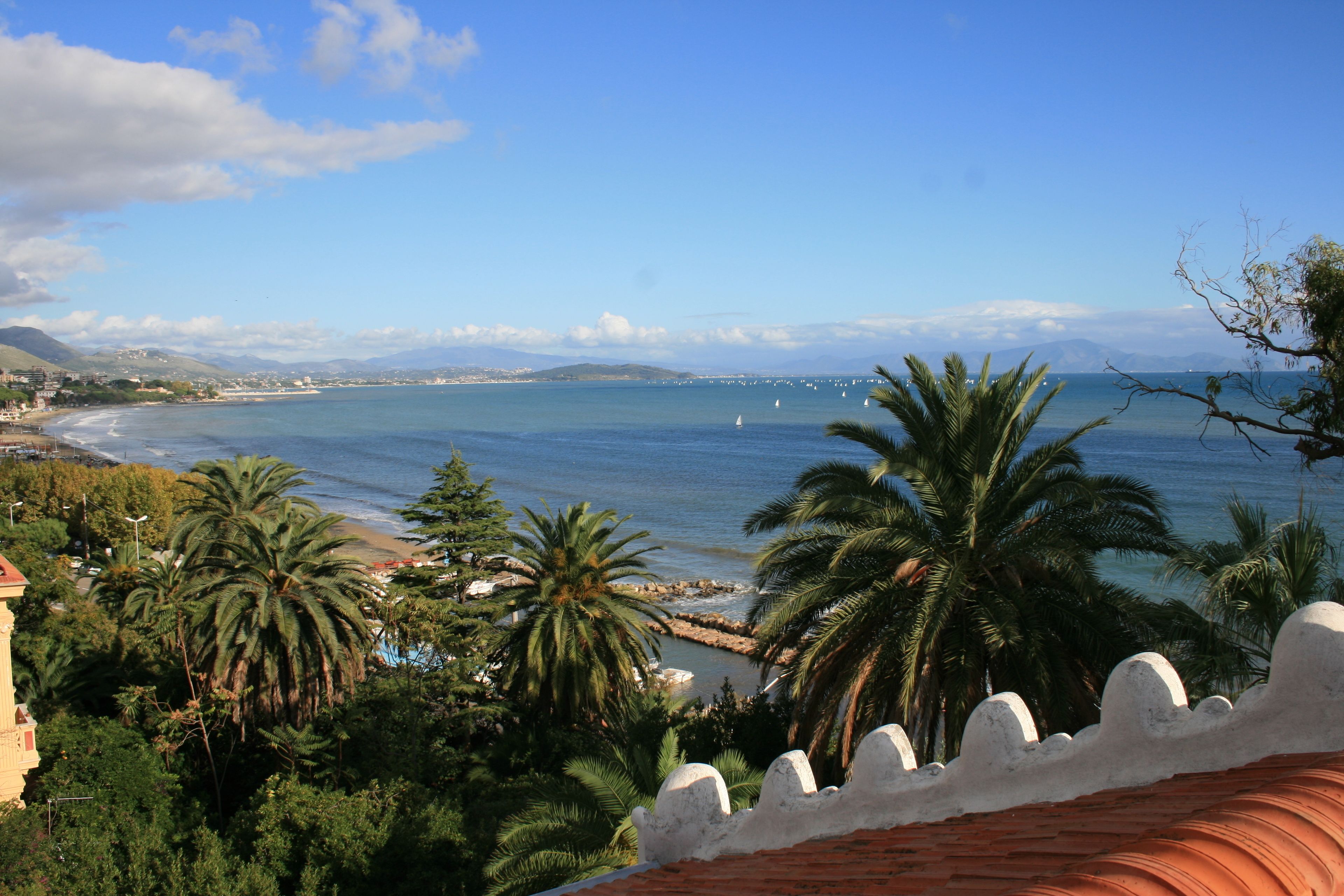 A coastal view with palm trees, a beach, and a clear sky.