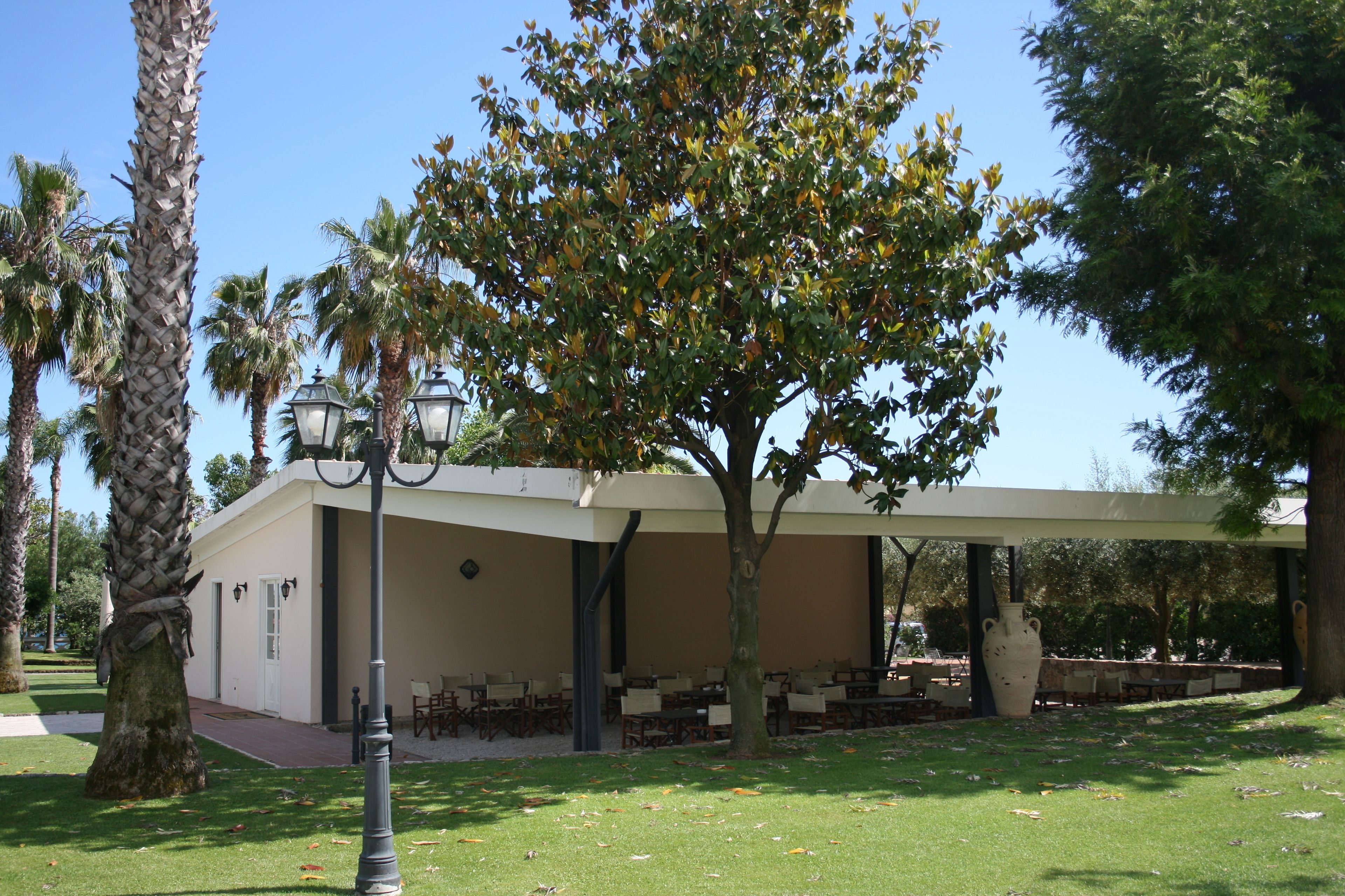 Un espacio al aire libre cubierto con mesas y sillas, rodeado de palmeras y un árbol grande con hojas otoñales.