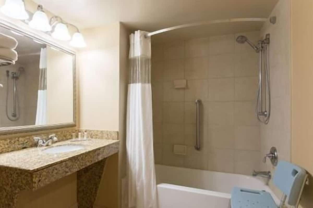Bathroom | Combined shower/tub, free toiletries, hair dryer, towels
