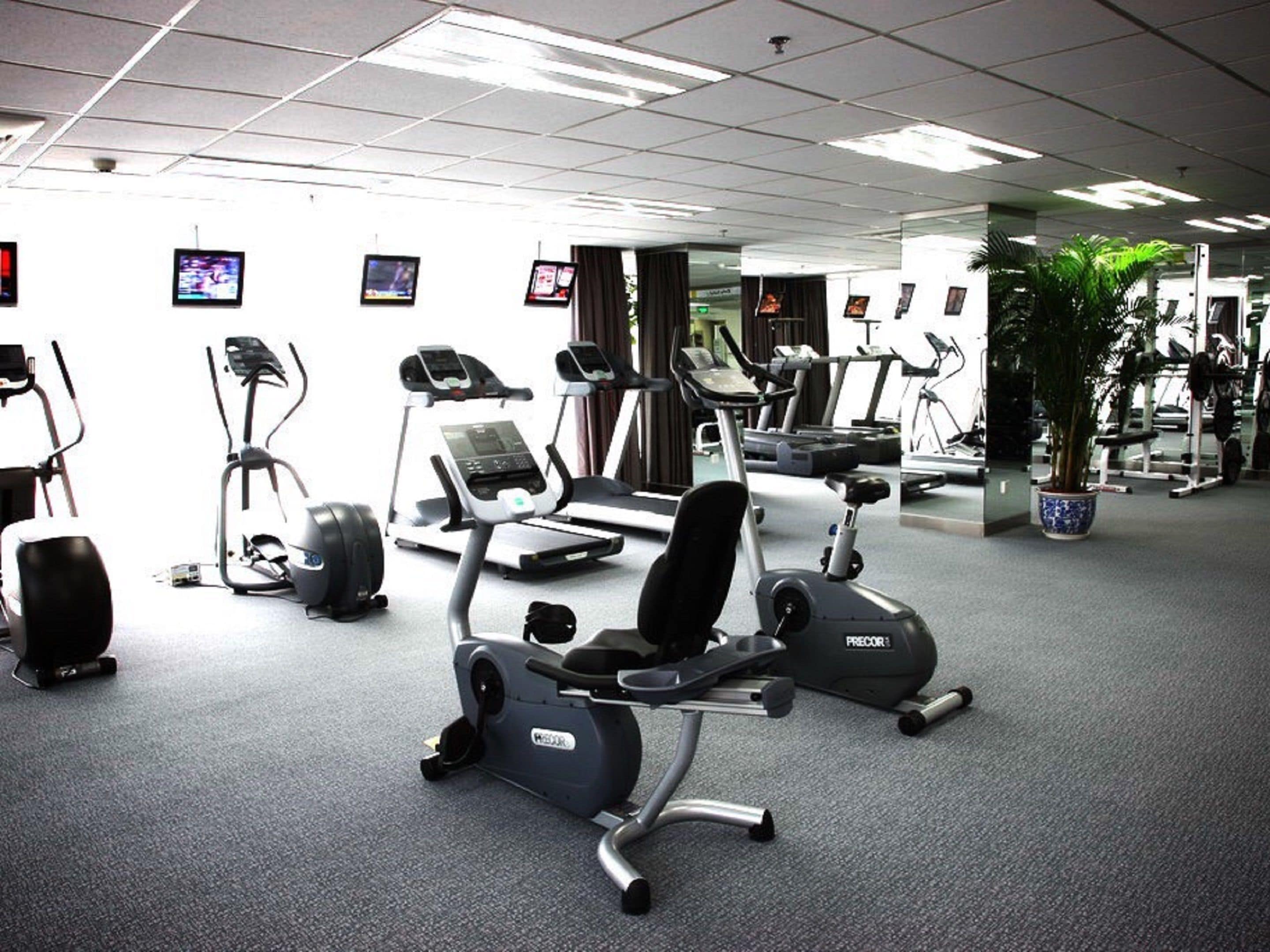 Un gimnasio con diversas máquinas de cardio, incluyendo cintas de correr y elípticas, y una planta grande en maceta en la esquina.
