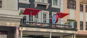 Daddy Long Legs Art Hotel