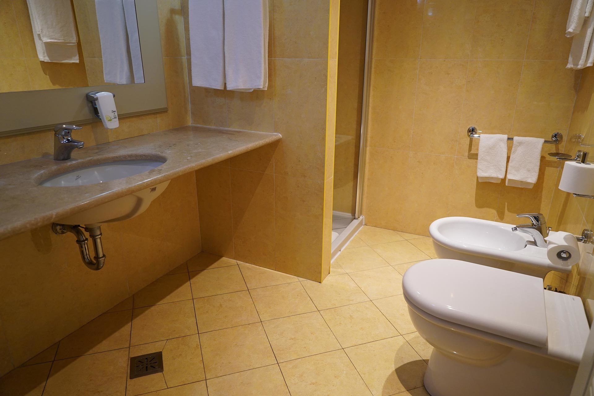 free toiletries, hair dryer, bidet, towels