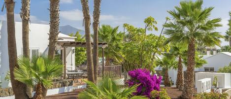 A landscaped garden with palm trees, a white building, and a purple flowering bush.