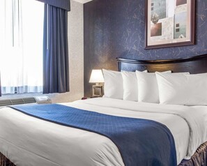 Classic Room, 1 Queen Bed, Non Smoking | Desk, laptop workspace, iron/ironing board, free WiFi - Paramount Inn (Floral Park)