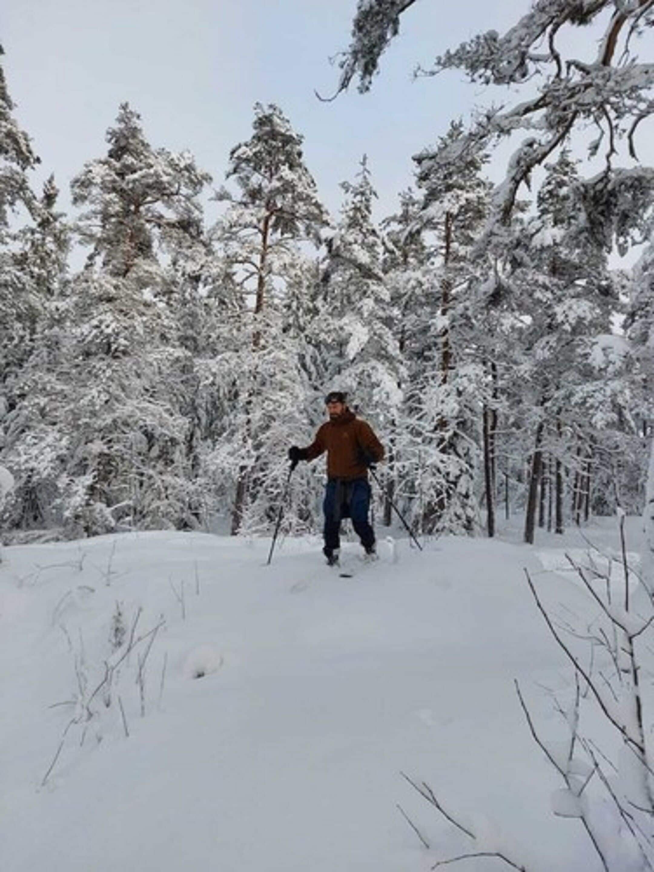 A person skiing in a snowy forest.