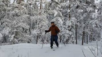 A person skiing in a snowy forest.