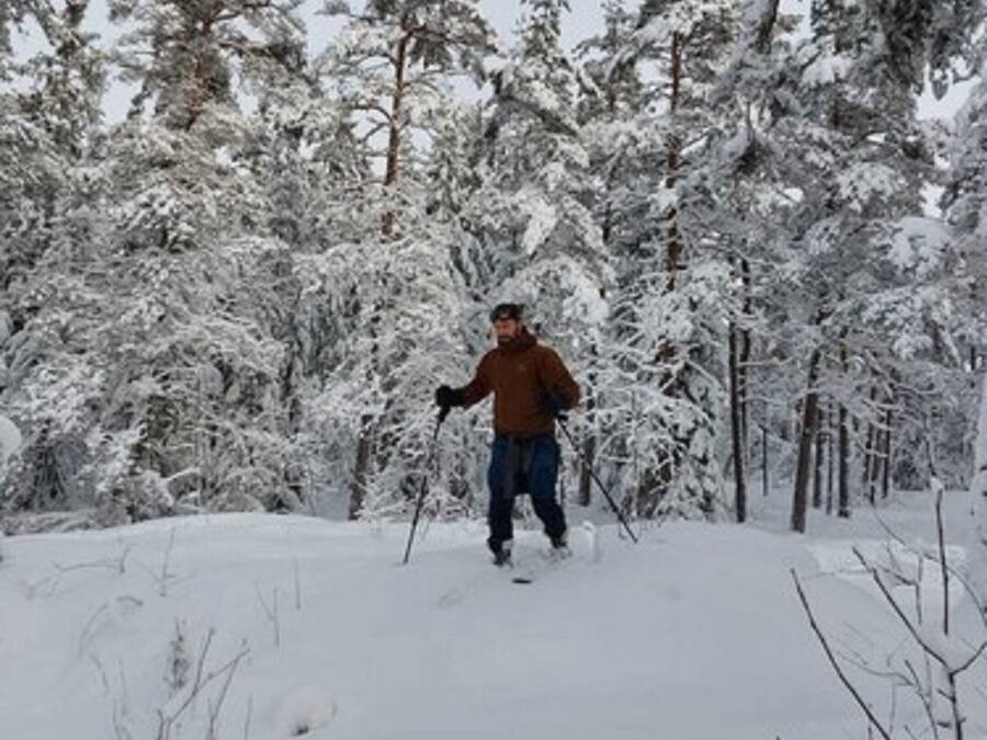 A person skiing in a snowy forest.