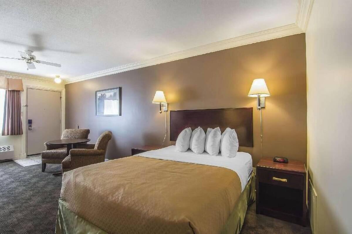 Quarto de hotel com cama, duas lumin árias de cabeceira, uma cadeira, escrivaninha e ventilador de teto.