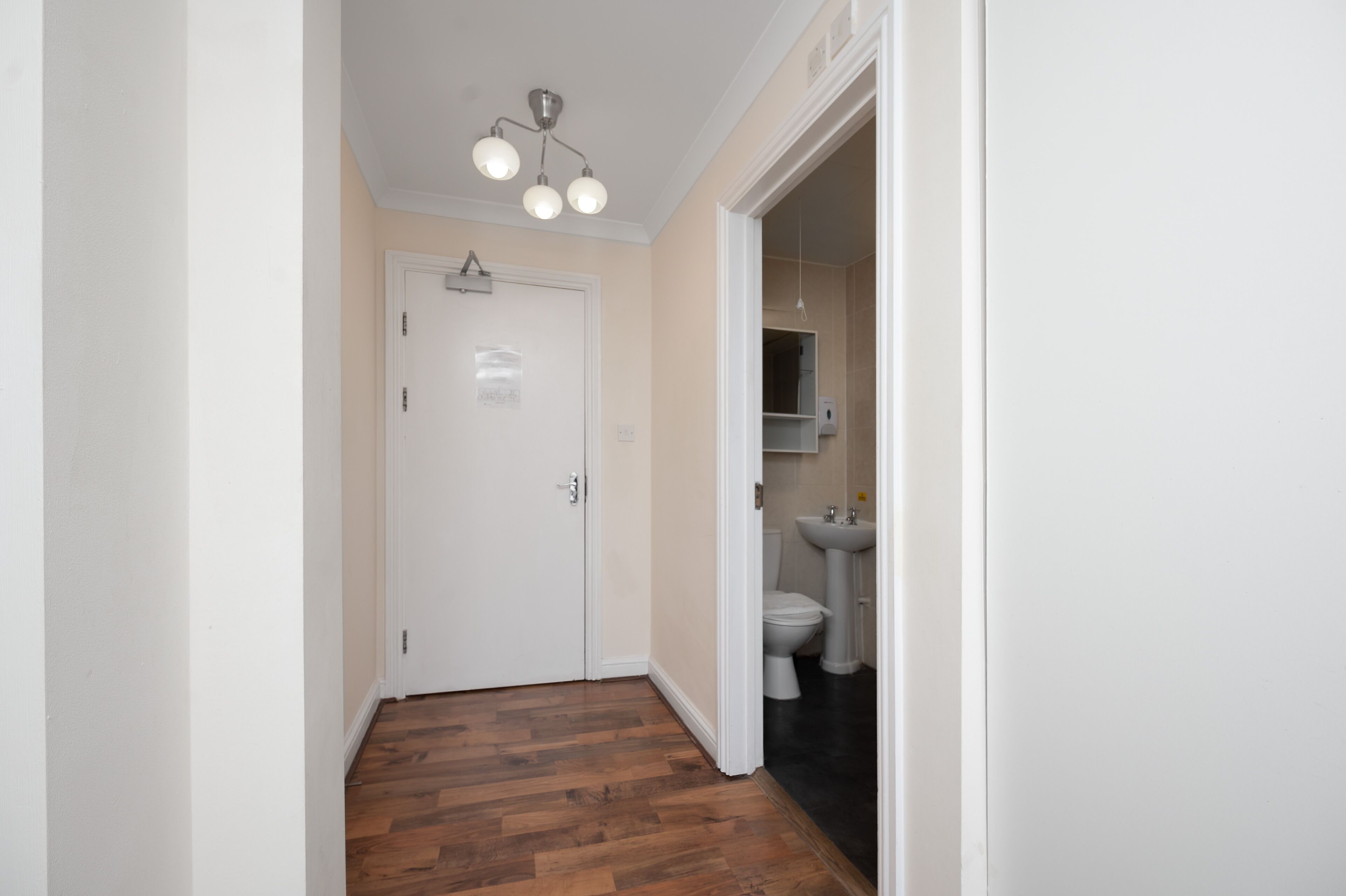 A hallway with wooden flooring, a white door, and a bathroom with a sink and toilet.