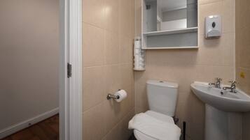 A bathroom with a toilet, sink, and a mirror.