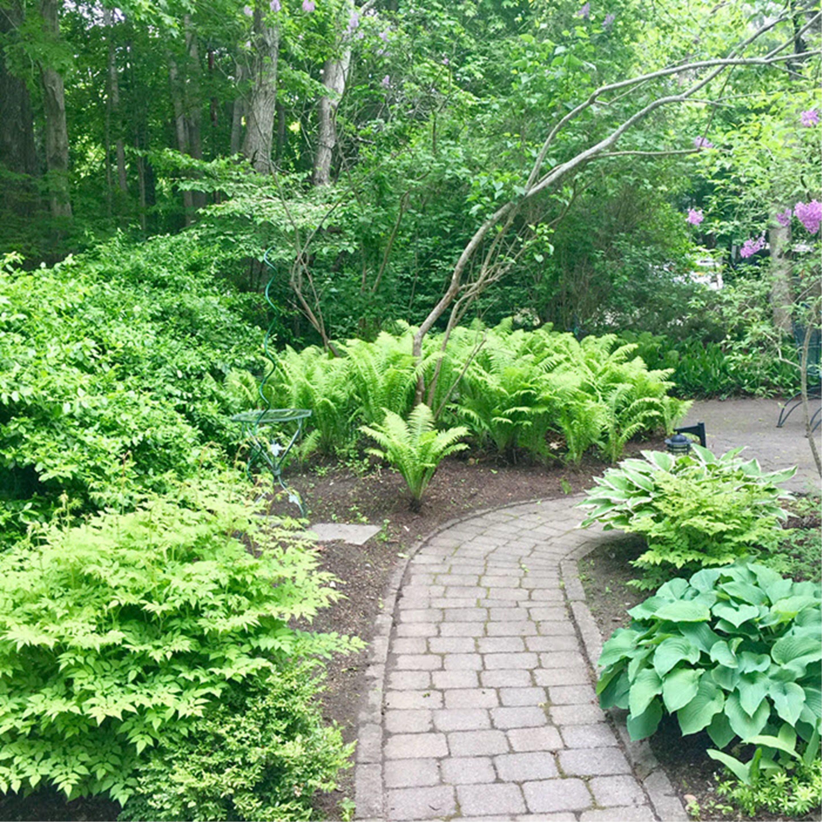 Jardin