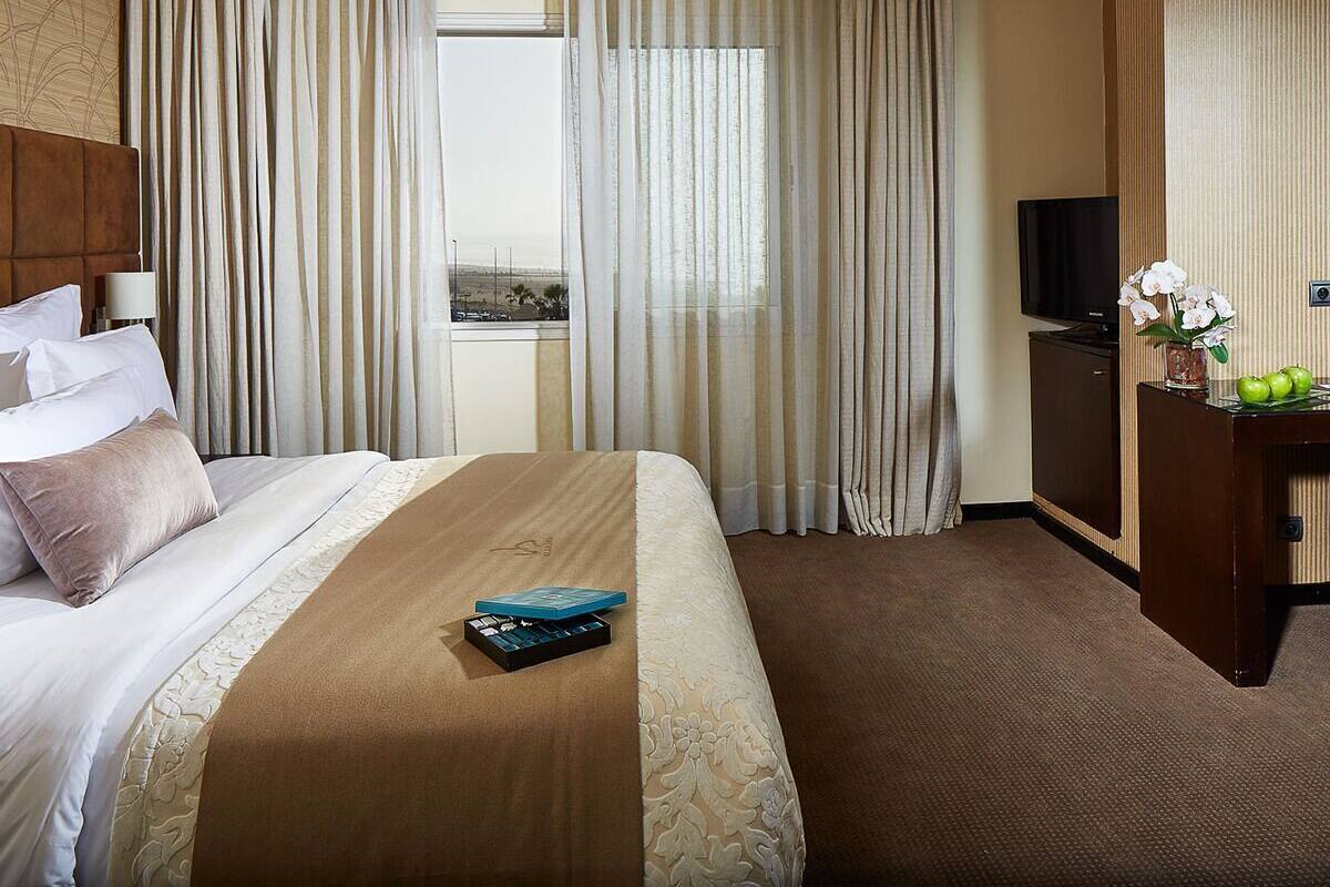 Habitación de hotel con cama, cortinas, televisor, escritorio con planta y ventana con vistas.
