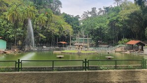 Un parque natural con un estanque, una cascada y una plataforma de observación.