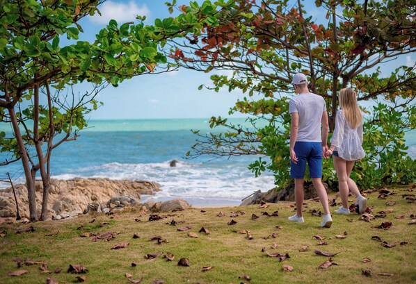 Private beach, beach umbrellas, beach towels, kayaking