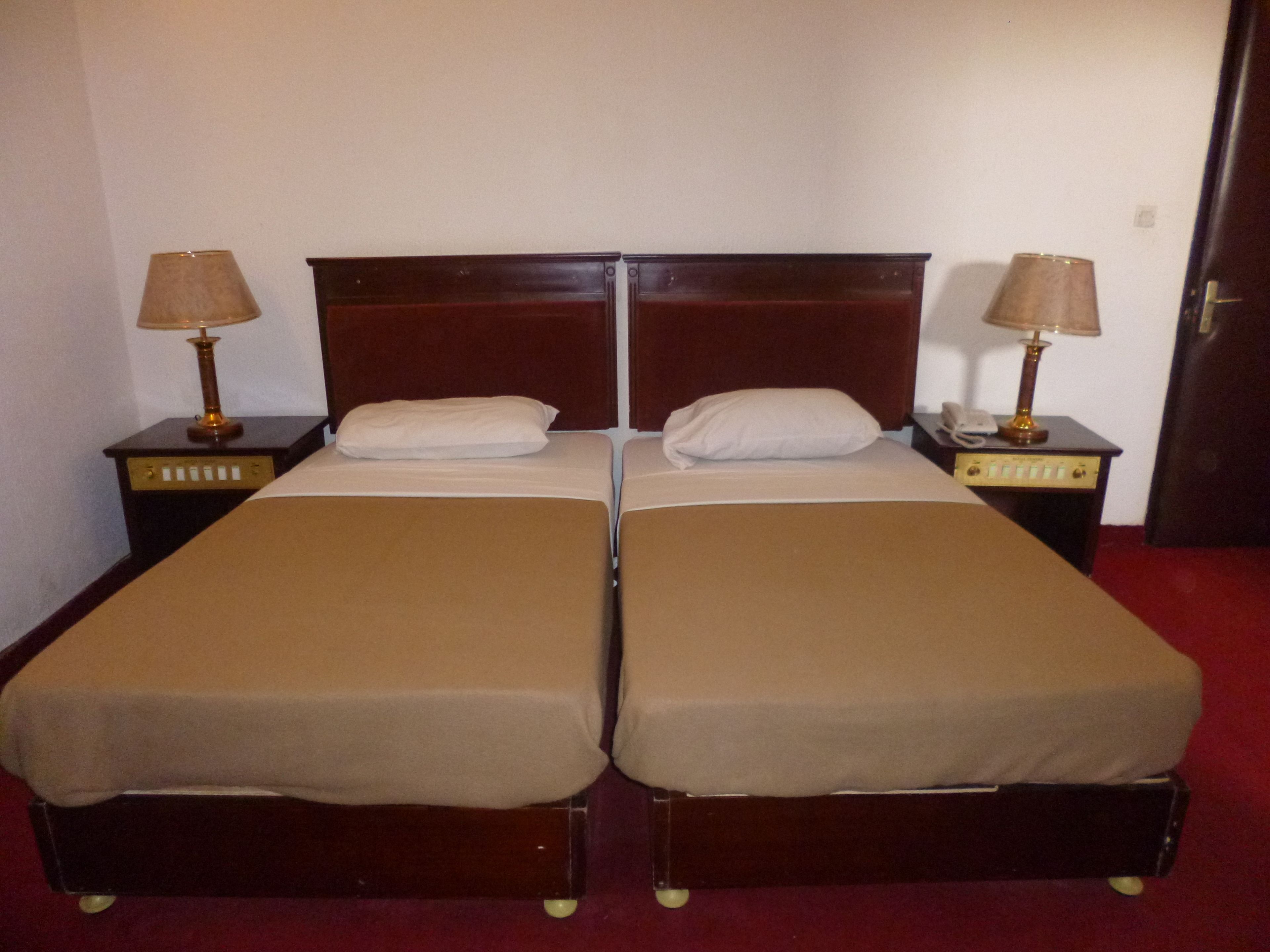 A double bed with a wooden headboard, two bedside tables with lamps, and a red carpeted floor.