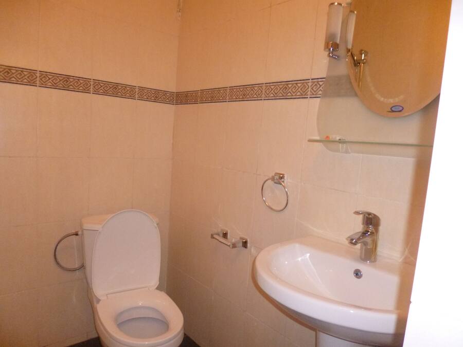 A bathroom with a toilet, a sink, and a mirror.