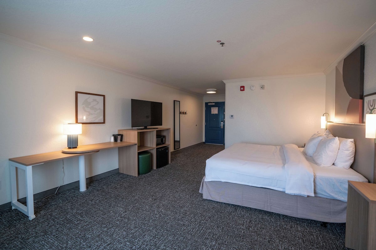 Una habitación de hotel con una cama, un escritorio, un televisor y una puerta.